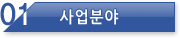 사업분야